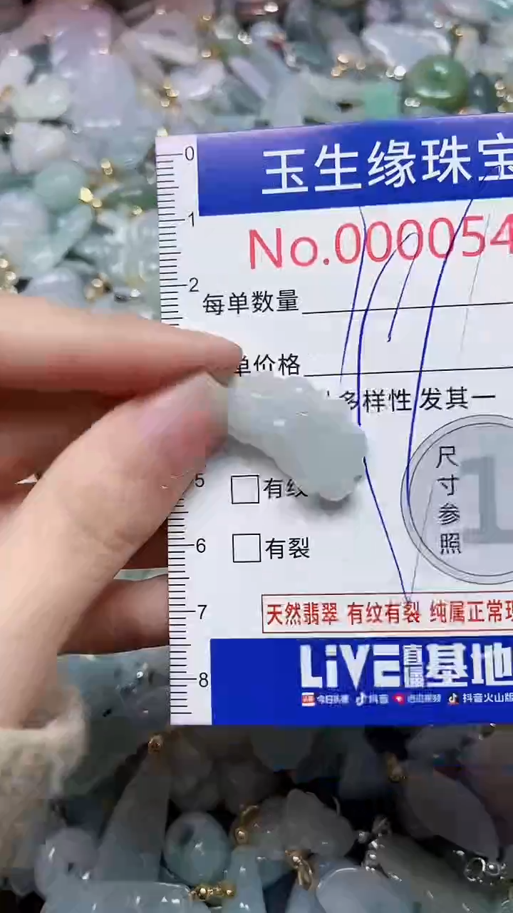 【闪购商品】翡翠颈饰未镶嵌闪购00000540