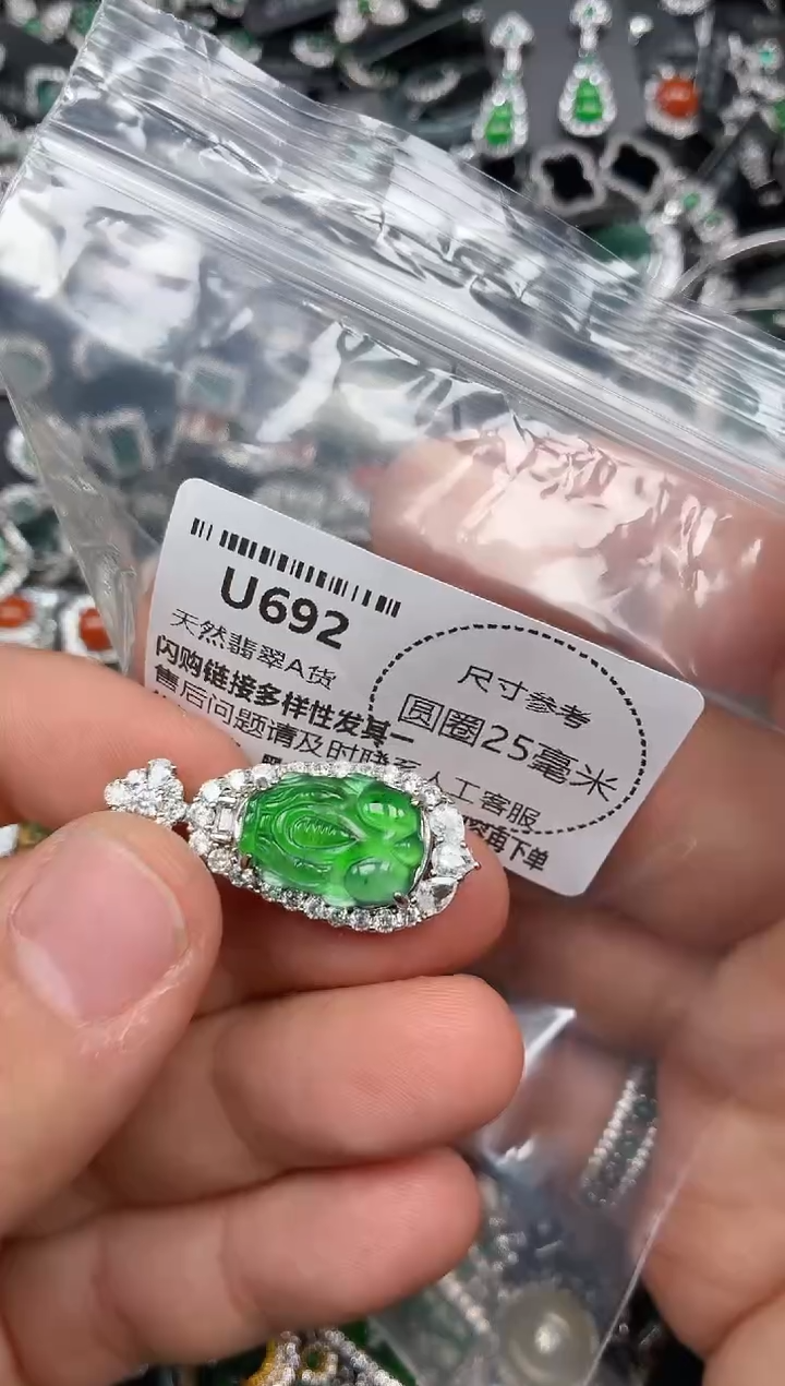 翡翠未镶嵌颈饰U692吊坠