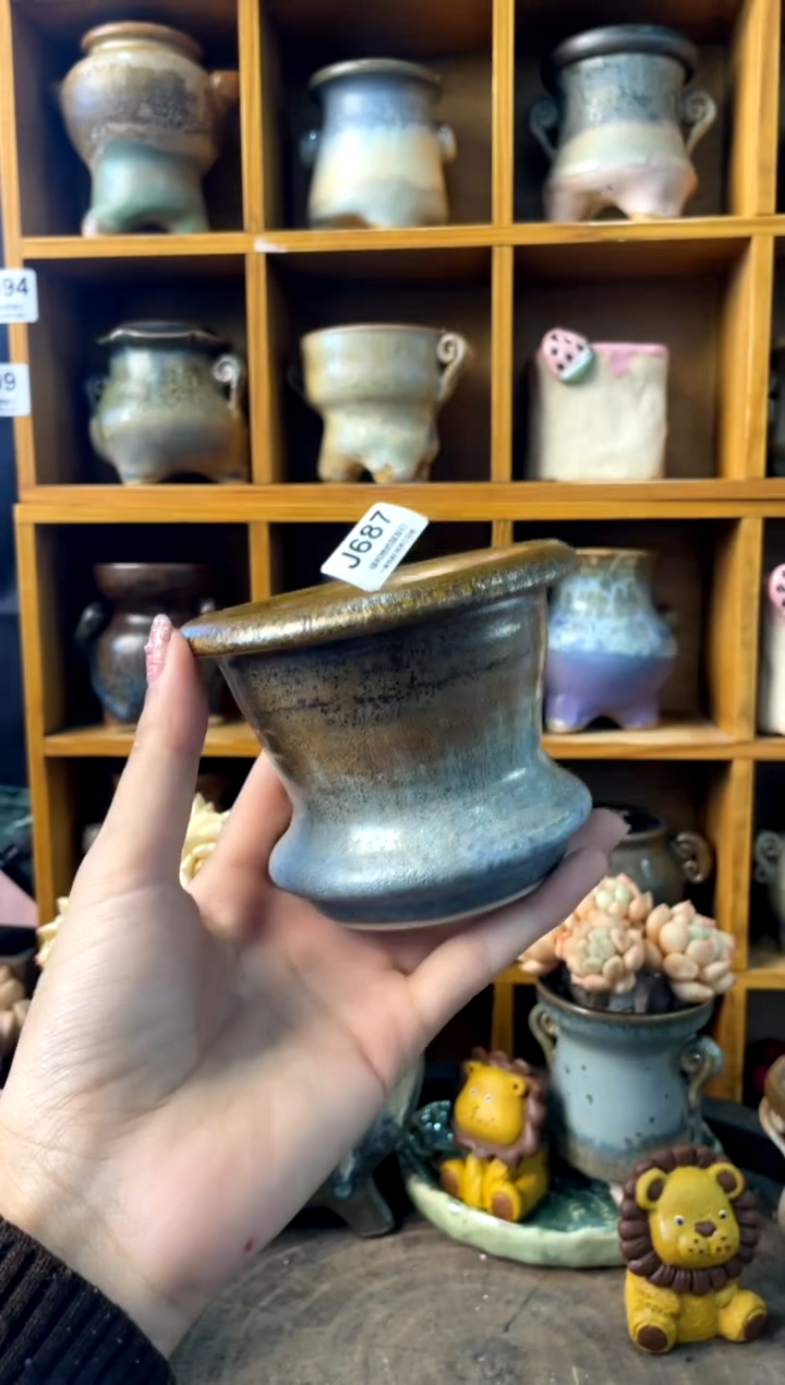 蟹****天687【多肉花盆多肉盆】