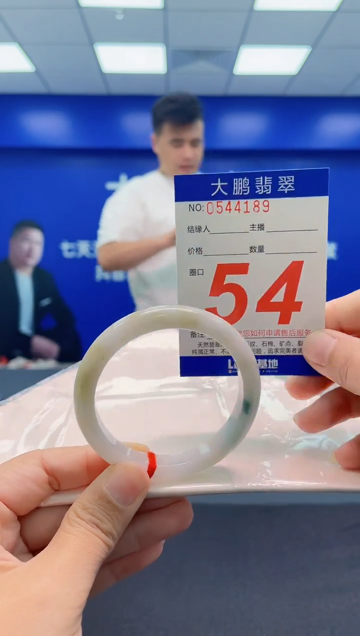 未镶嵌手镯翡翠AAAAAAAAA