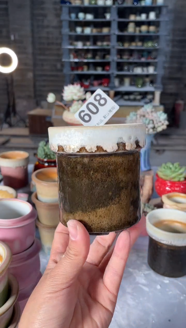 瓷片608小芳直播编号