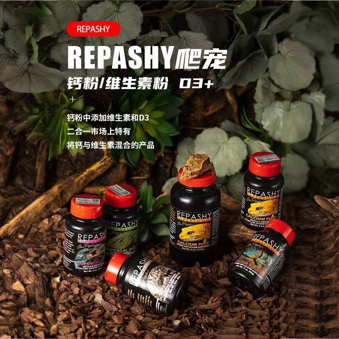 爬宠钙粉维生素含D3中浓度分装适用于守宫豹纹蜥蜴睫角