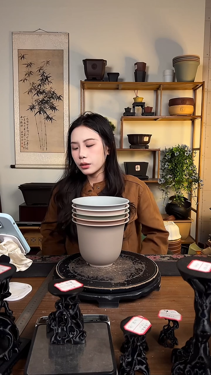 5只18口径金钟马卡龙色系