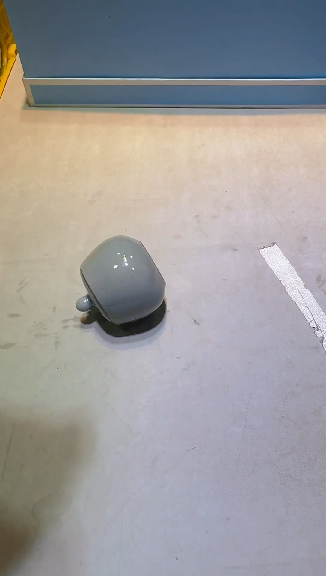 【闪购商品】瓷片111111111111111