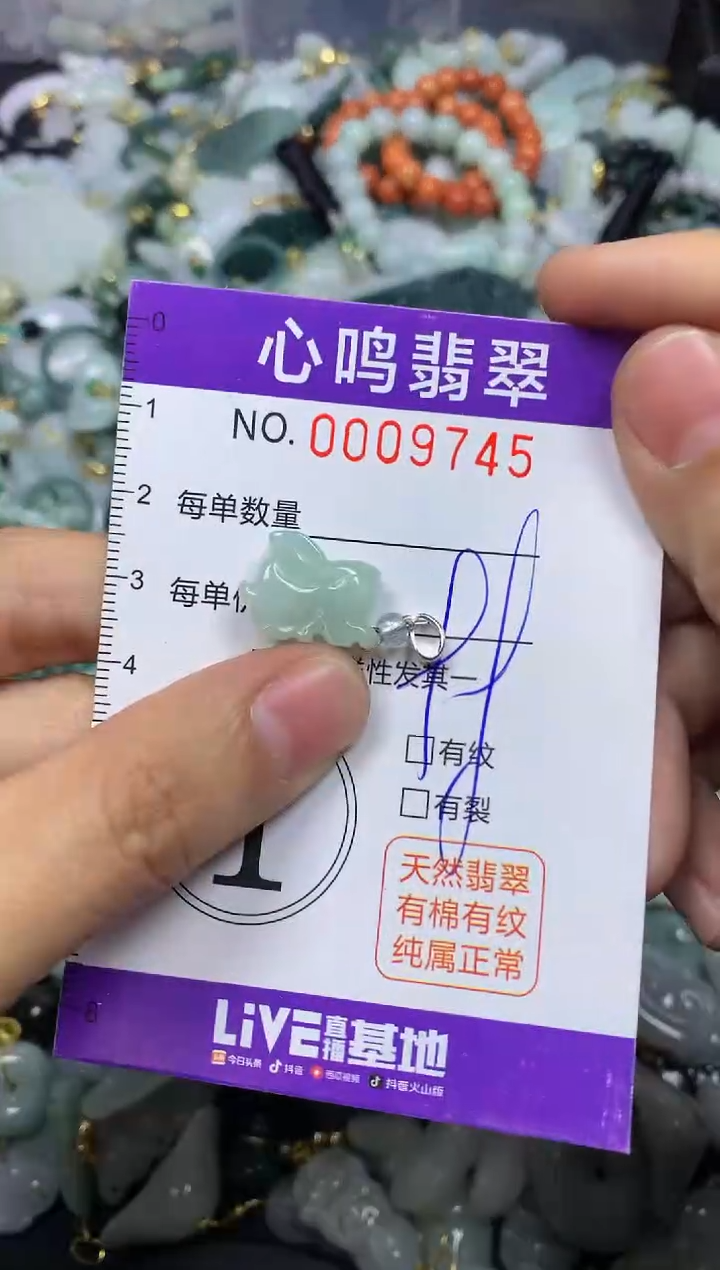 【闪购商品】翡翠颈饰未镶嵌闪购009745