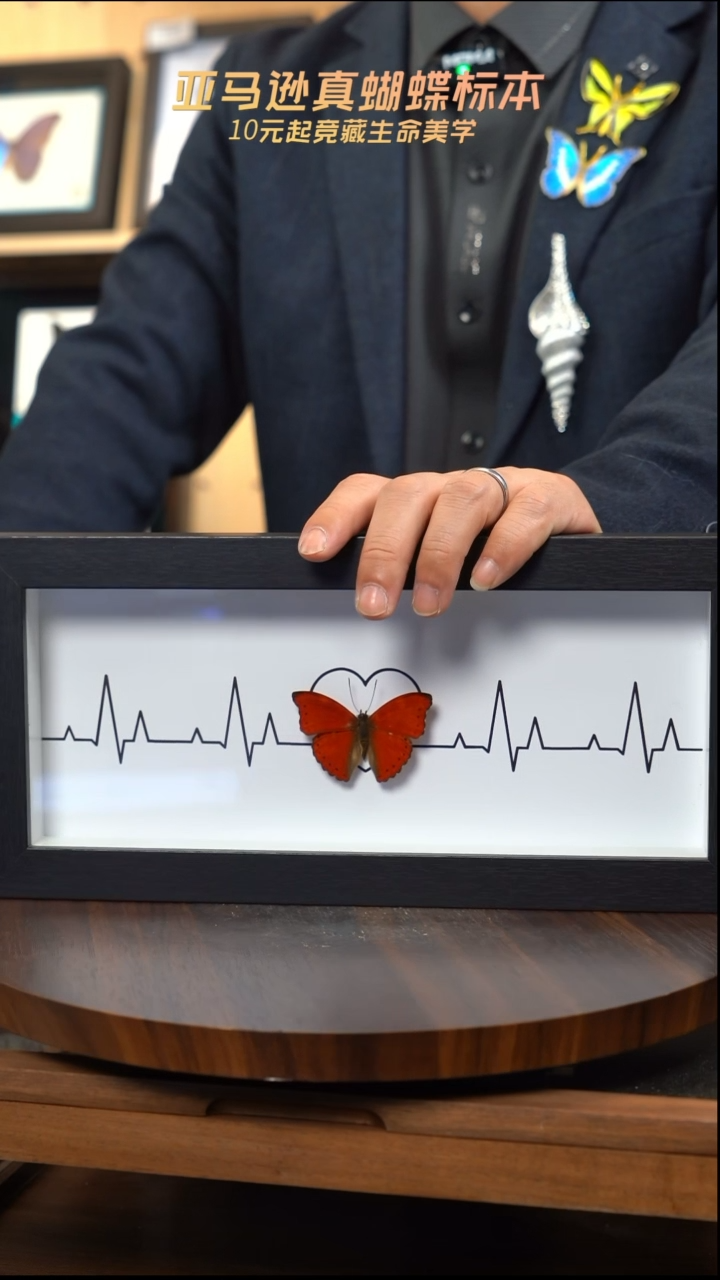 血漪蛱蝶心电图新版本 