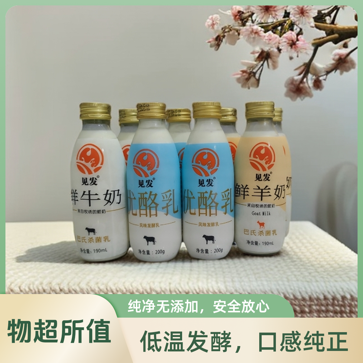 见发 鲜奶3优酪乳3羊奶2牛奶乳制品