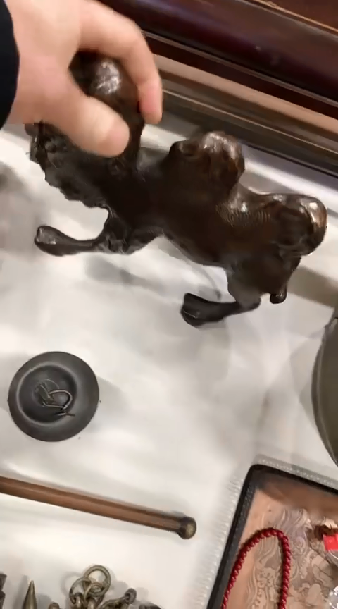 【闪购商品】一物一拍编号骆驼