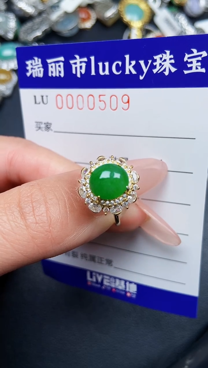 【闪购商品】翡翠颈饰银S925镶嵌0509