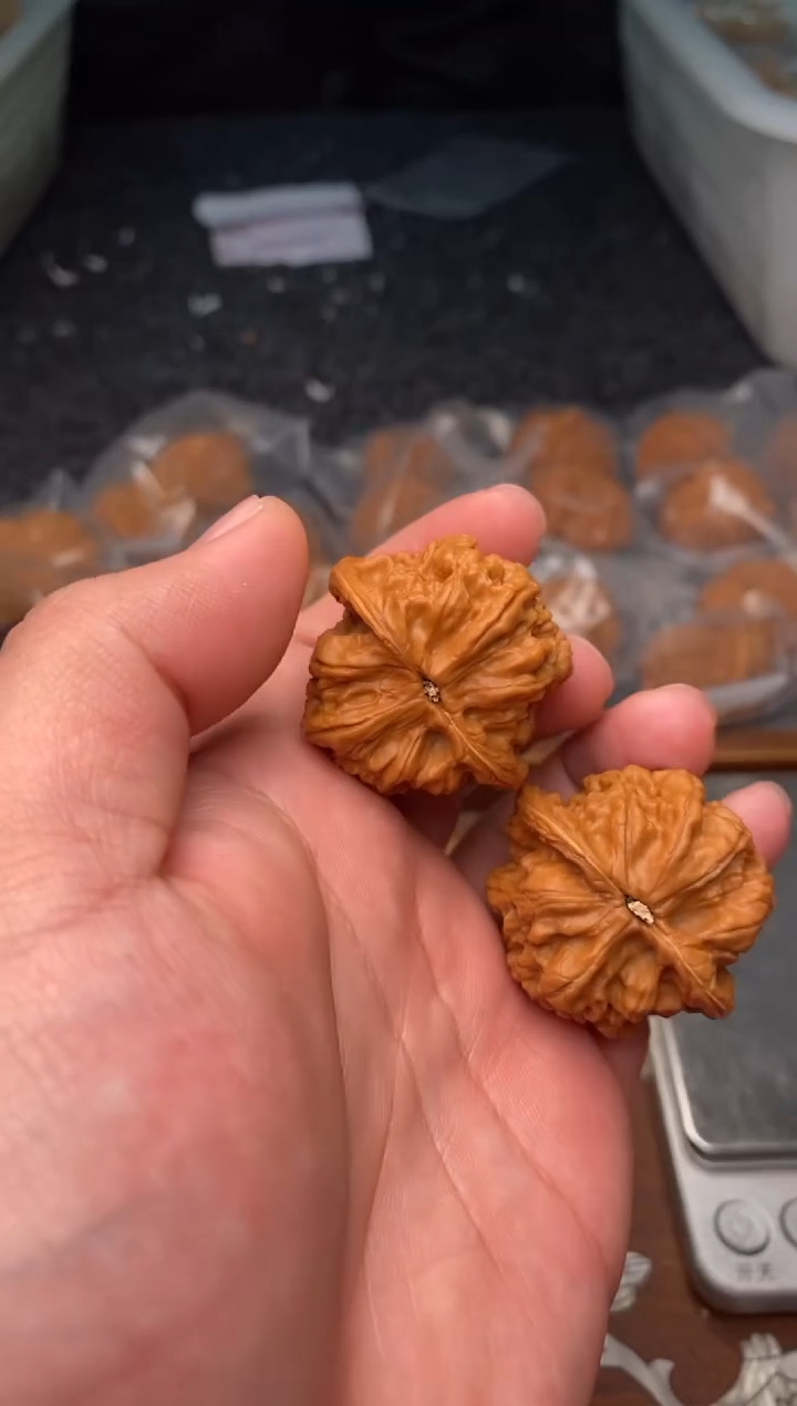 【闪购商品】文玩核桃把件G144号37尺芭蕉扇