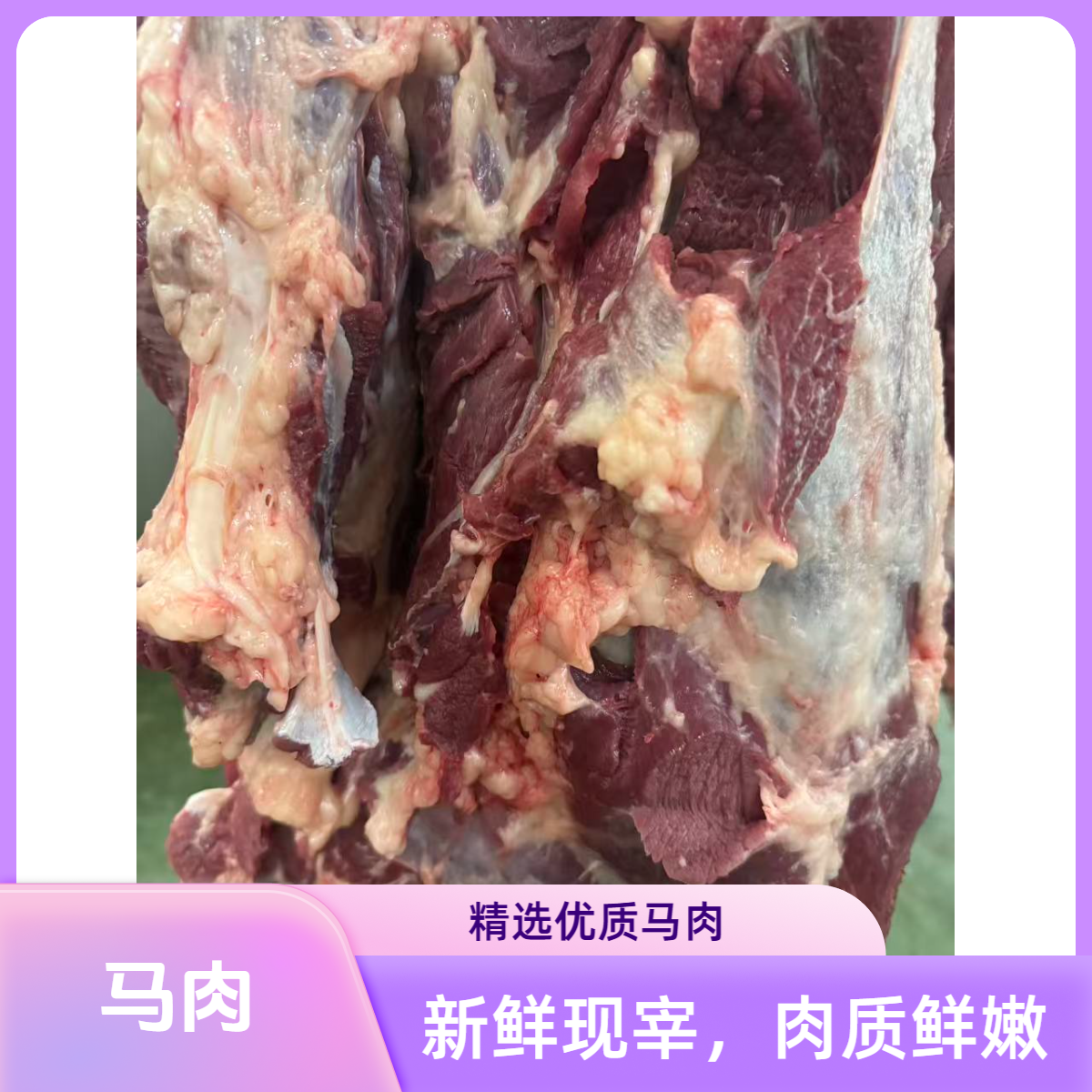现杀现宰新鲜马肉顺丰冷链包邮