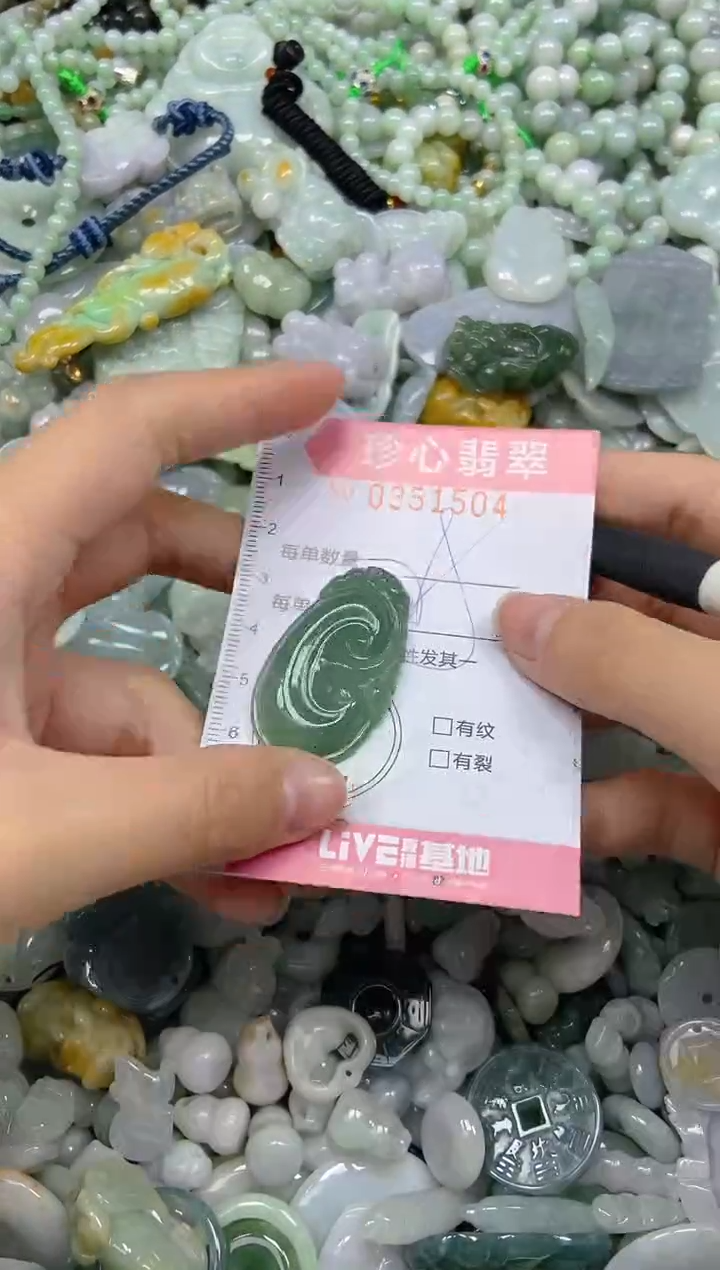 颈饰未镶嵌翡翠闪购0351504