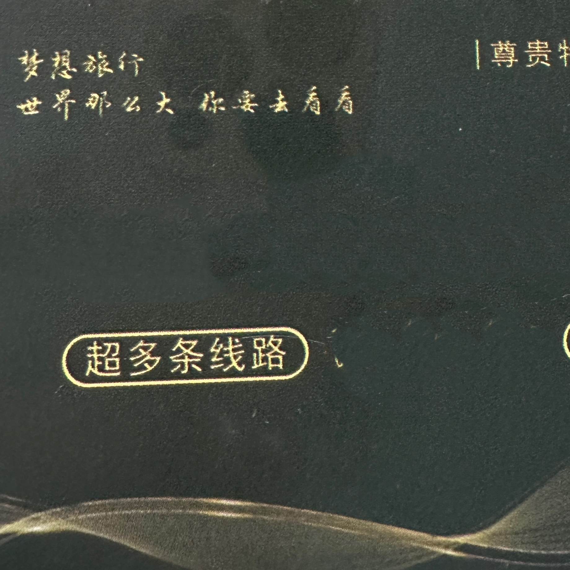 齐家国旅尊贵享受卡片