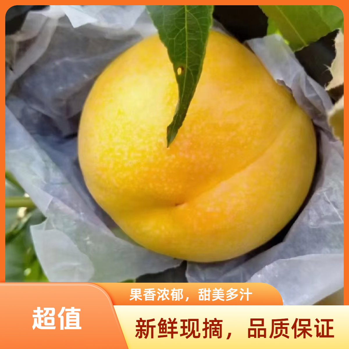 平谷本地黄金油桃黄金蜜3-5斤桃子同城送北京市
