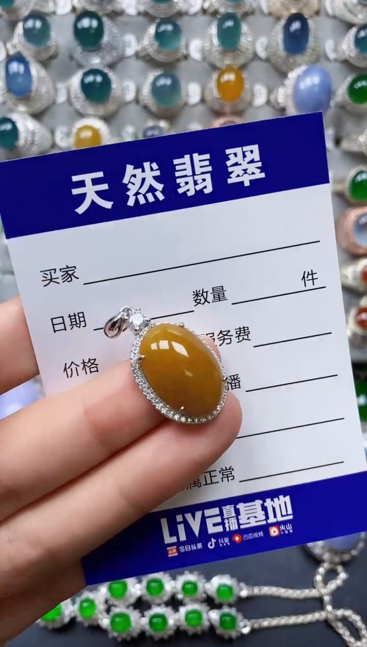 【闪购商品】翡翠颈饰银S925镶嵌0381