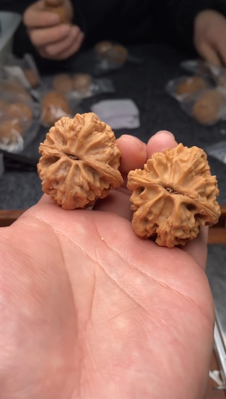 【闪购商品】文玩核桃把件G132号37尺大沽石