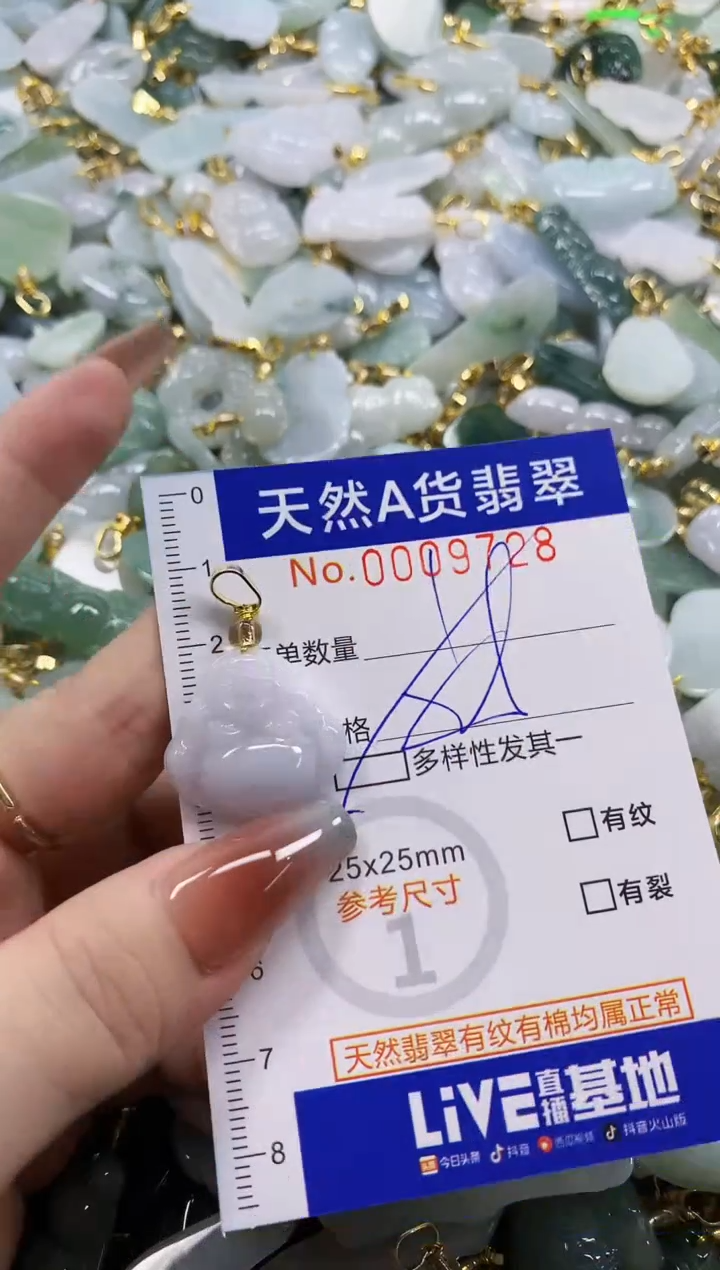 颈饰未镶嵌翡翠天然A货翡翠