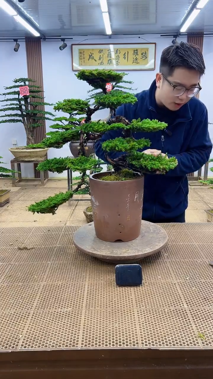 无花朵00000000000