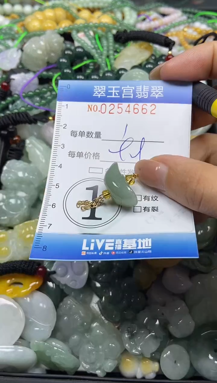 颈饰未镶嵌翡翠闪购C0254662