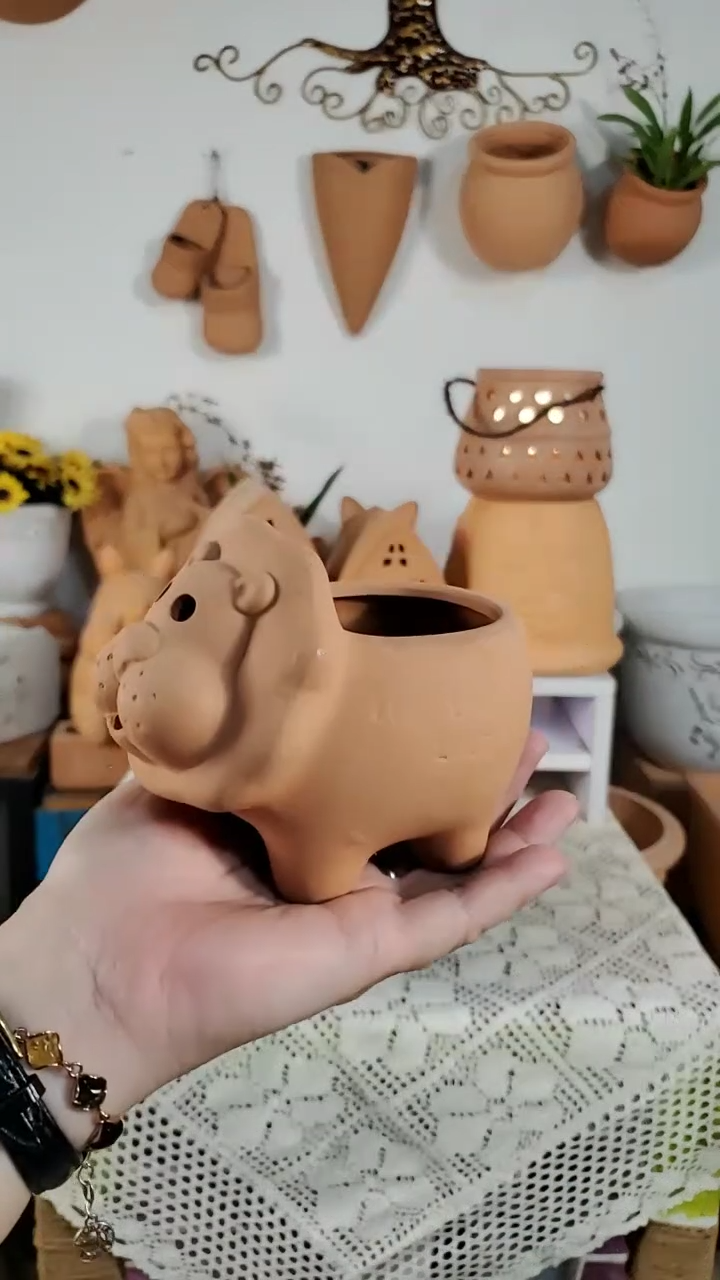 红陶花盆 1个装 红陶色 小狮子盆