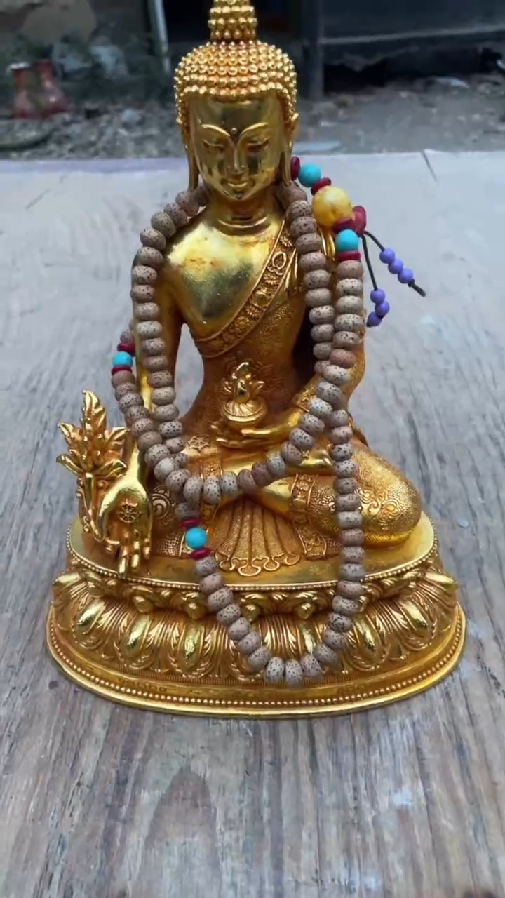 【闪购商品】菩提根/象牙果把件精品好物 好物菩提