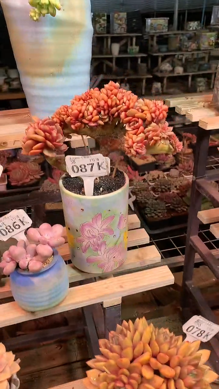 【闪购商品】087KKK