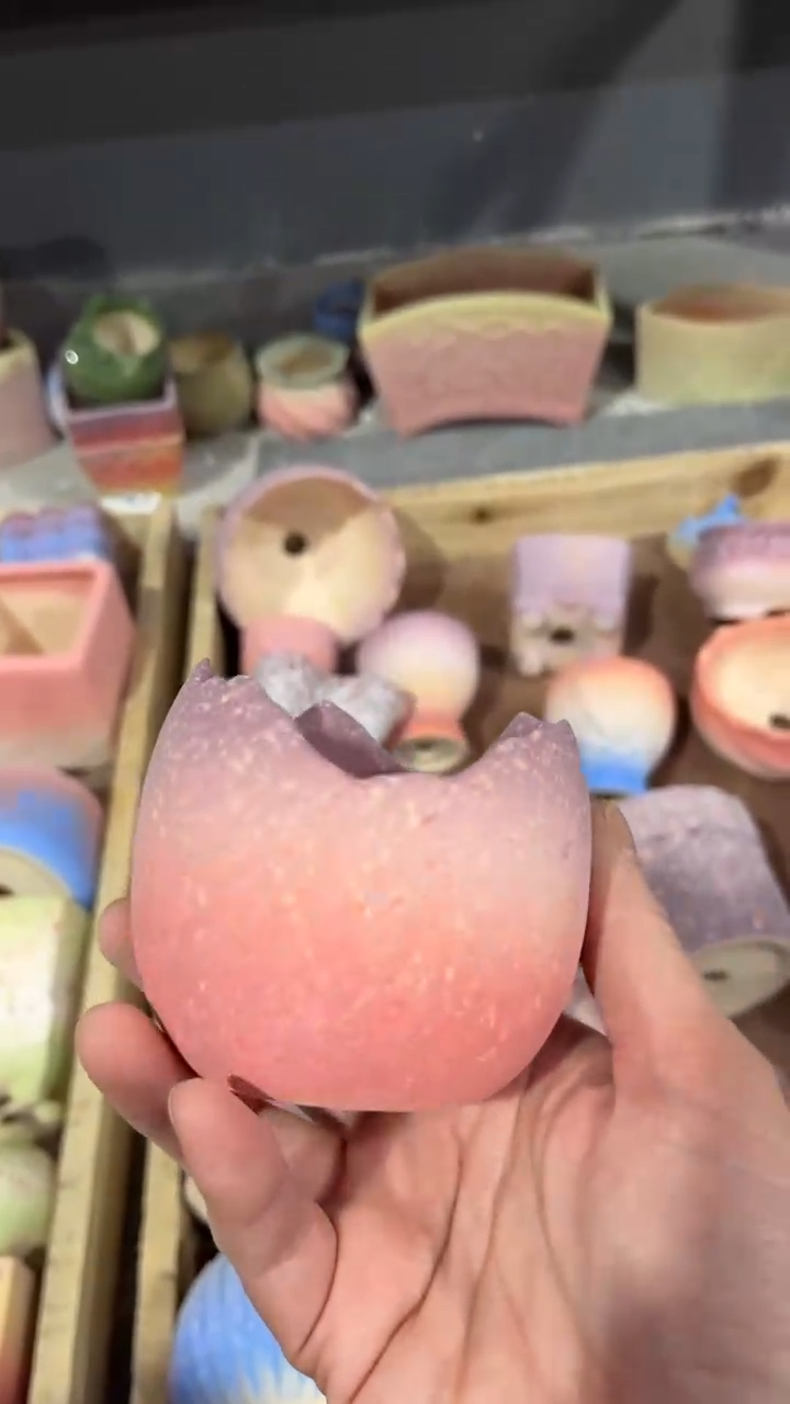 【闪购商品】陶内口  7 内高6