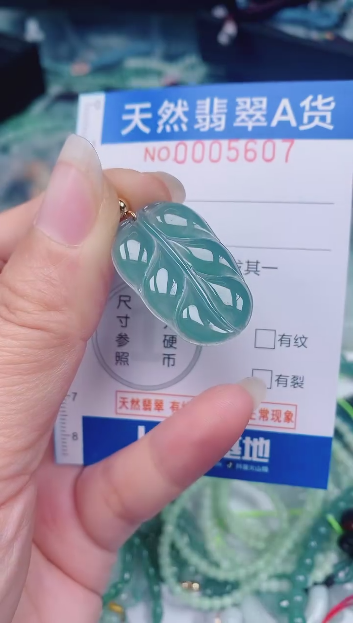 颈饰未镶嵌翡翠00005607