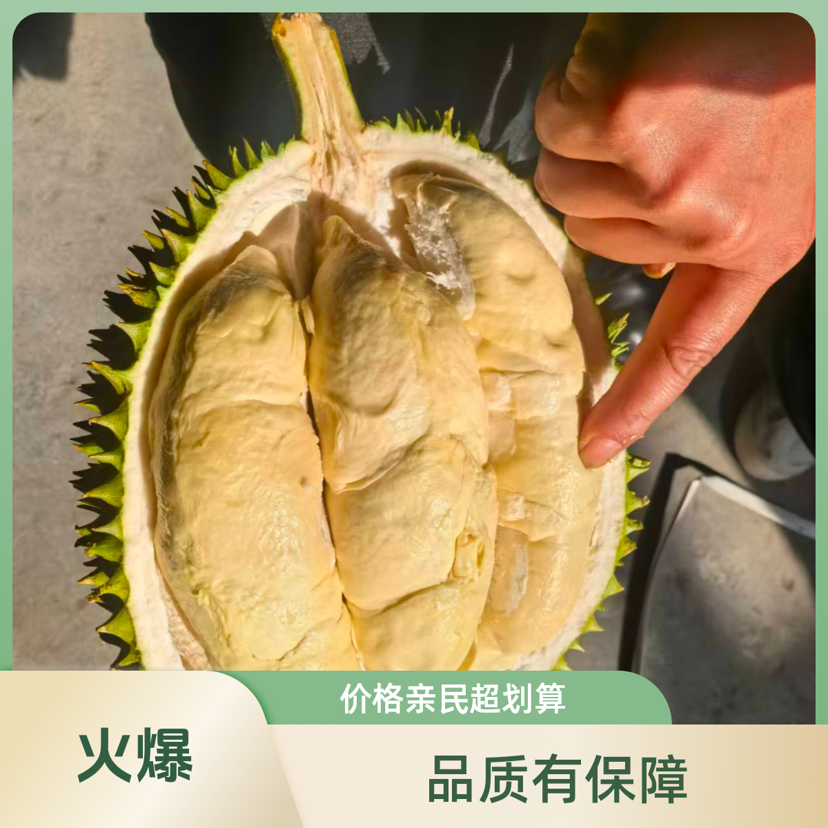 （一果一拍）新鲜奶油猫山王核大小随机3.9-4.4斤138元一个猫山王越南