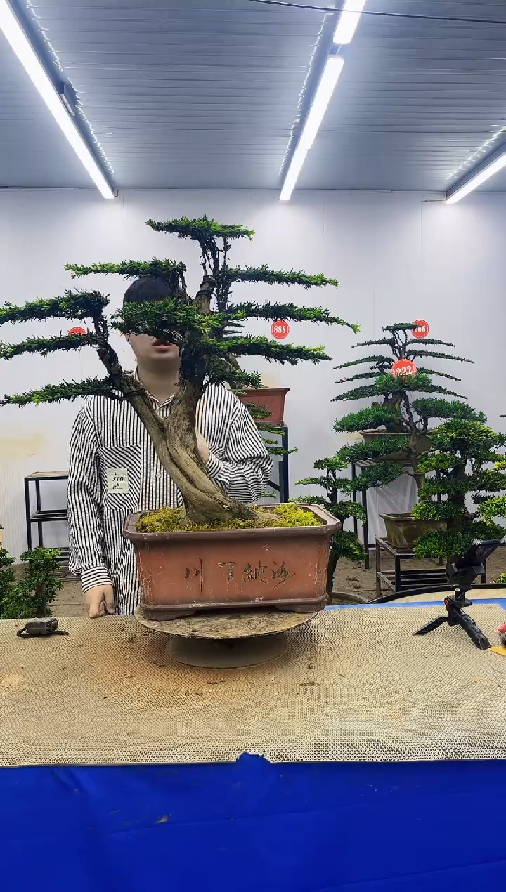 完全开放一物一拍，所见即所得