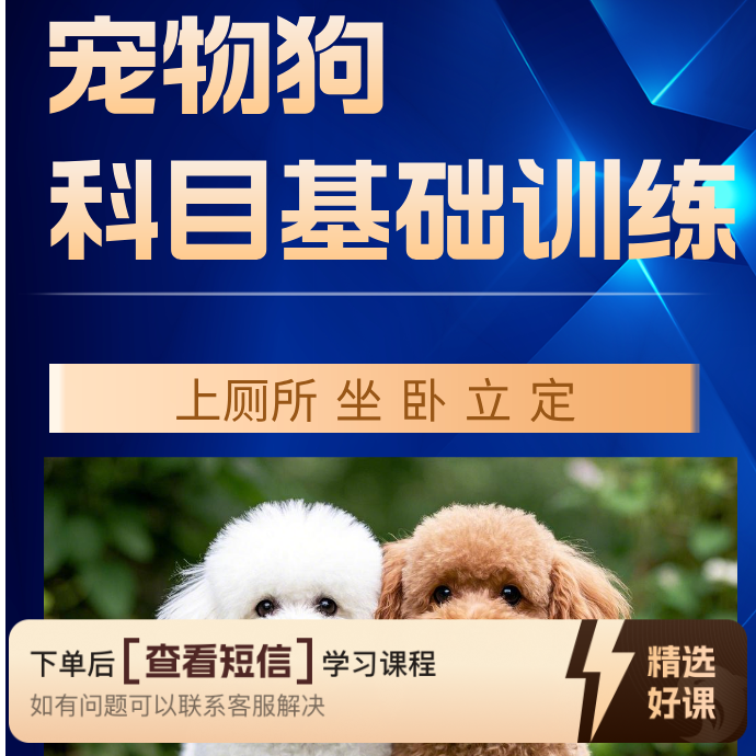 宠物训练课程（留意短信解锁课程）（留意短信解锁课程）