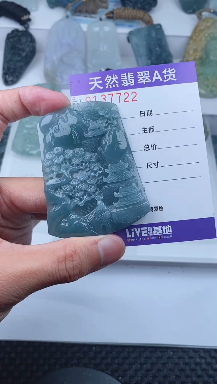 【闪购商品】翡翠颈饰未镶嵌       222