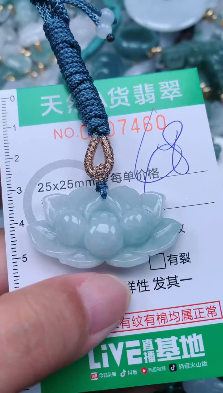 翡翠未镶嵌颈饰.0007460