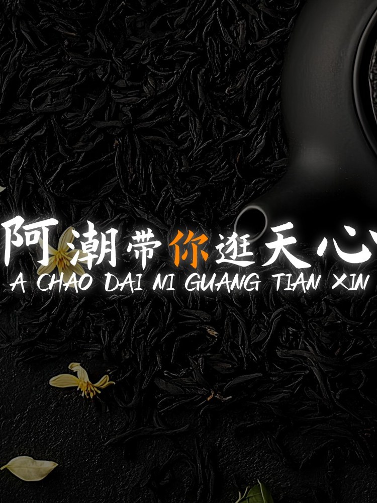 【阿潮带你逛遍天心岩茶村C】