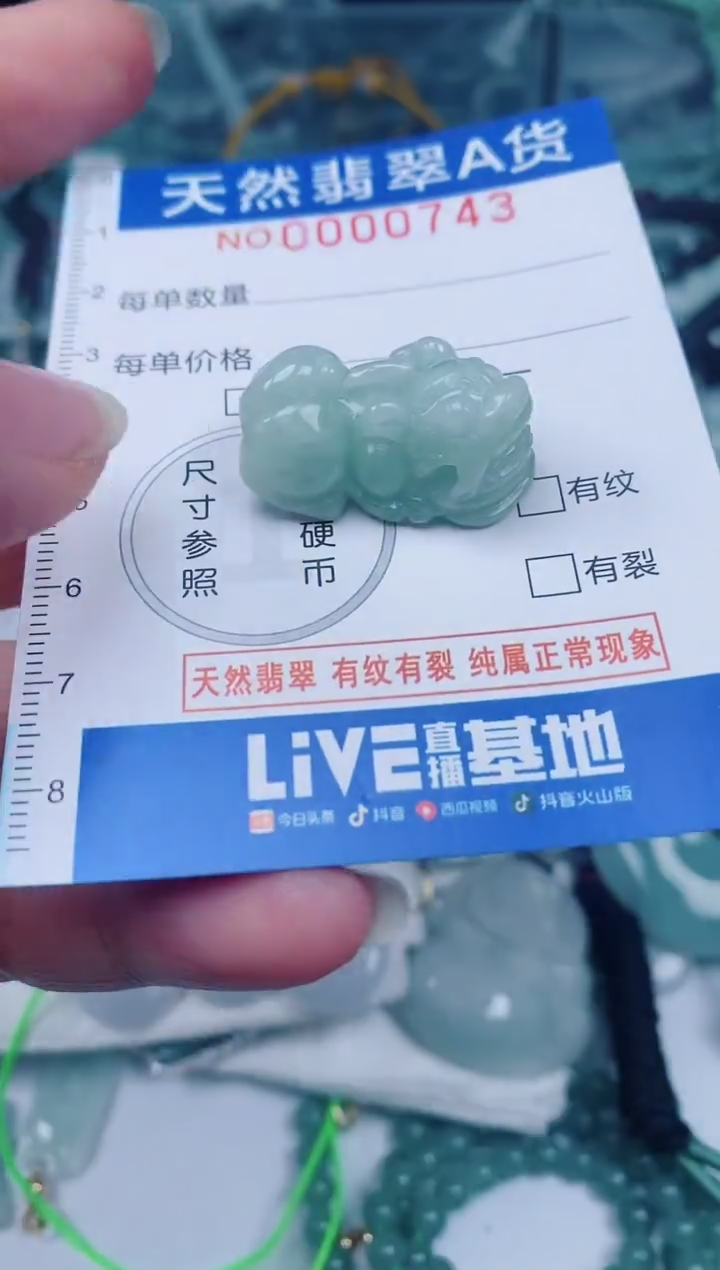 颈饰未镶嵌翡翠00000743