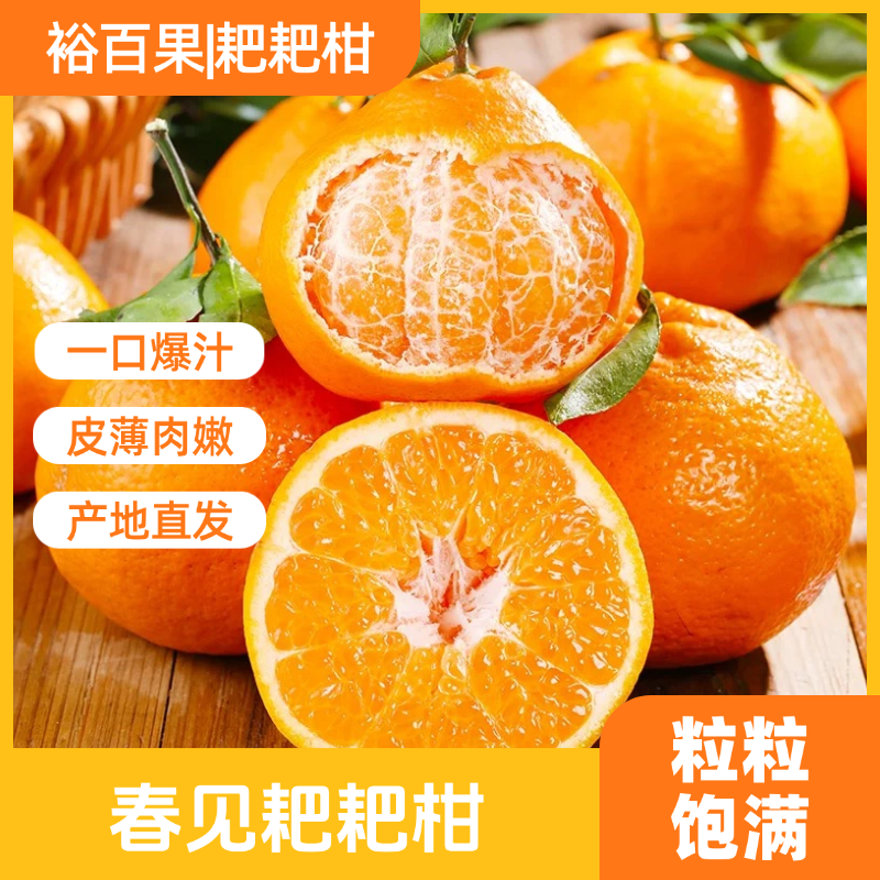 裕百果四川春见耙耙柑新鲜时令水果皮薄易剥产地直发