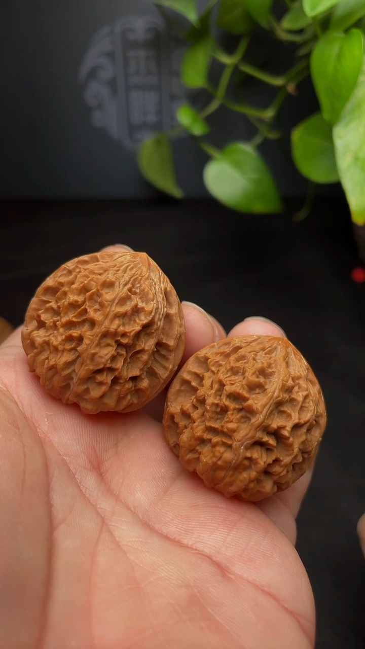 【闪购商品】文玩核桃把件老树野牛36尺（微修，福利团）