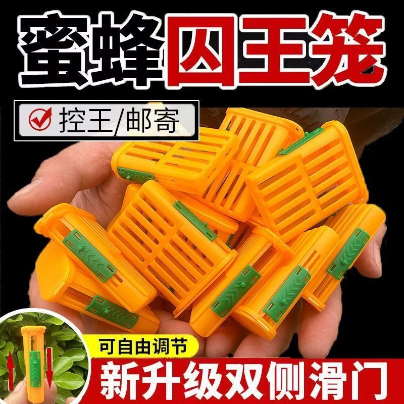 多功能囚王笼塑料防逃工具中意蜂专用介王笼装蜂王储王器隔王工具
