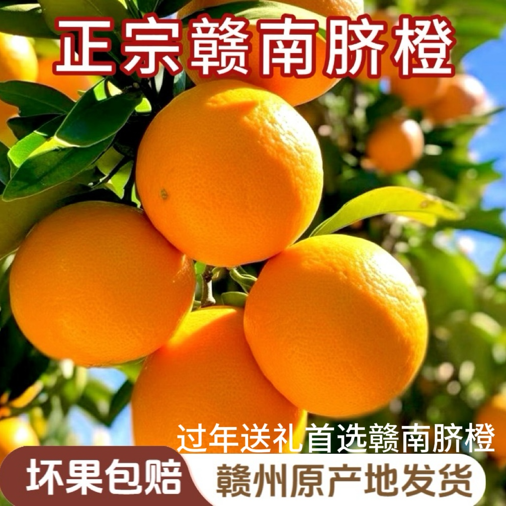 正宗赣南脐橙应季生鲜橙子赣州果园直发鲜嫩多汁橙子过年送礼首选