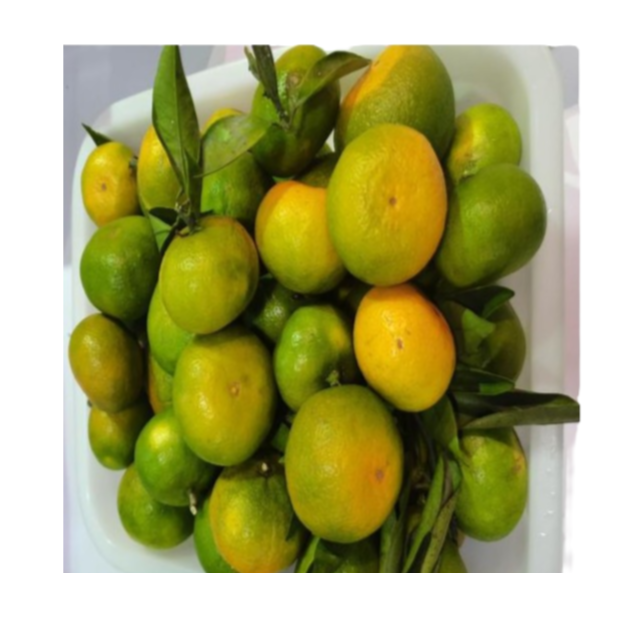 橘子500g