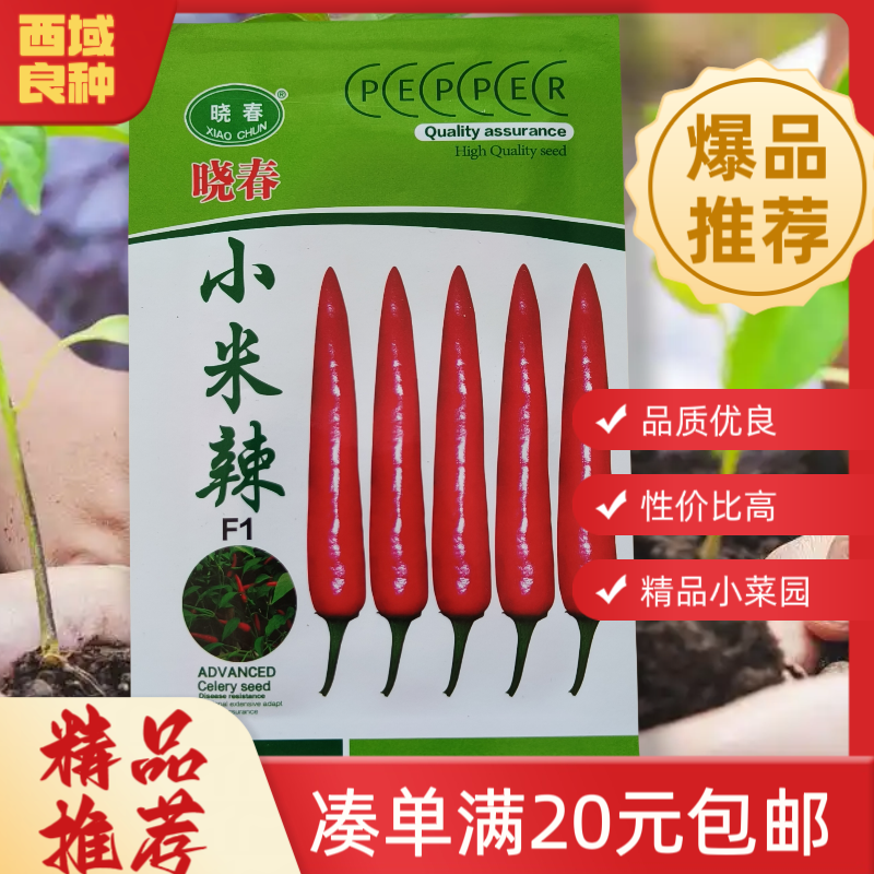 【1g小米辣】辣椒种子，150粒左右单簇朝天椒，高辣