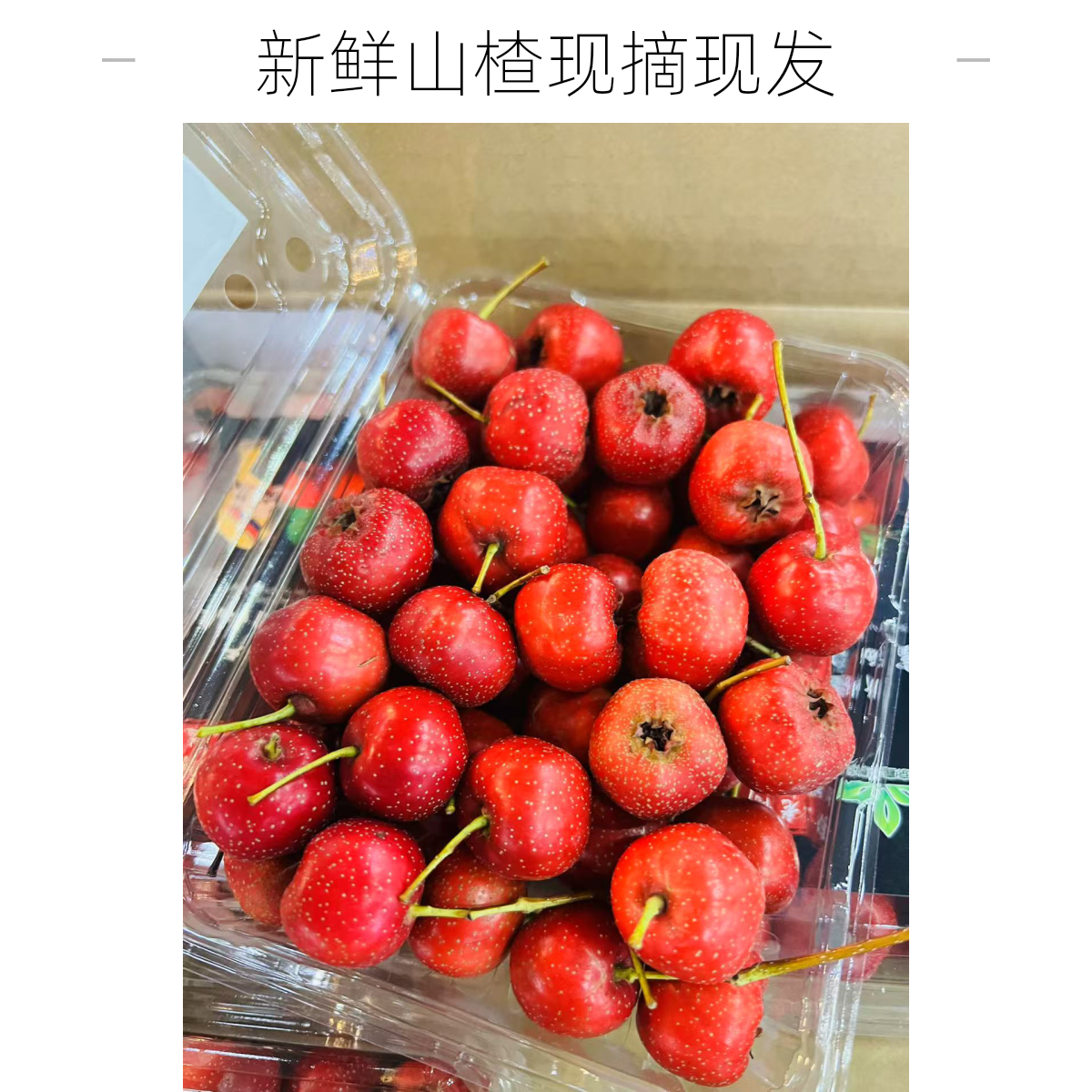 新疆特产富硒小甜山楂