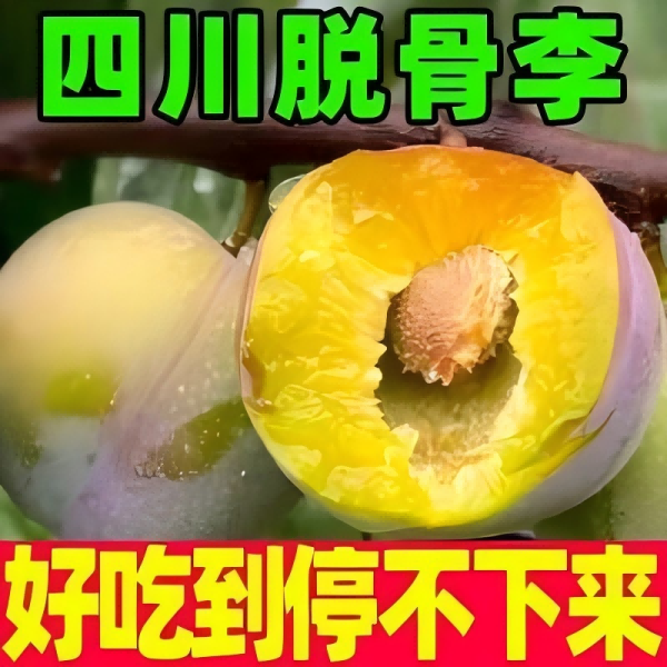 正宗脱骨半边红李子新鲜现摘脆甜多汁应季水果n