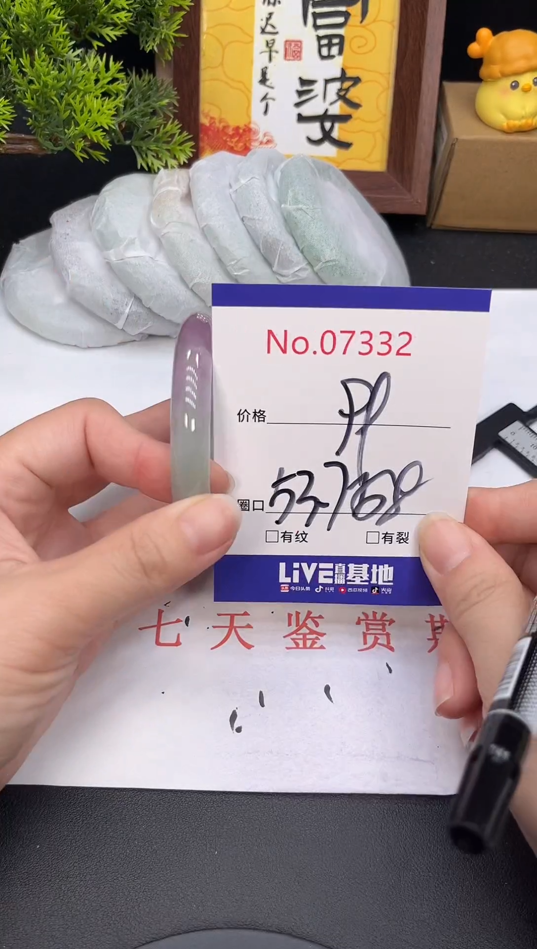 未镶嵌手镯翡翠7332