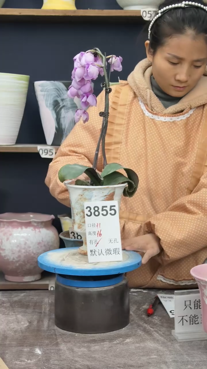 景德镇花盆默认微瑕3855