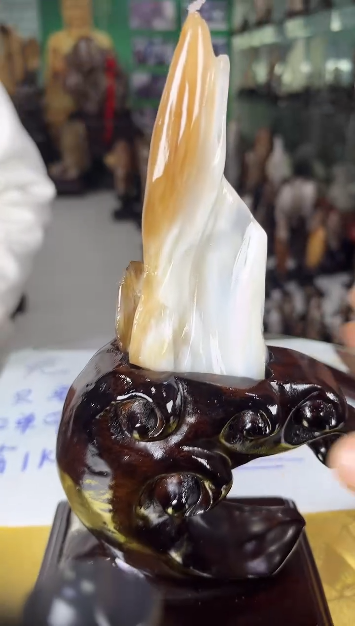 未镶嵌珠宝奇石硅化玉缅甸天然树化玉精品摆件