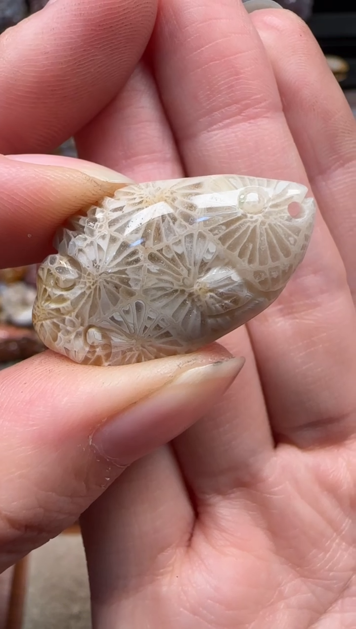 颈饰未镶嵌硅化珊瑚（珊瑚玉）204