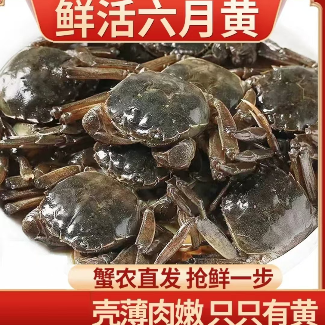新鲜焦岗湖湖韵六月黄螃蟹地方特色1-1.3两 20 只