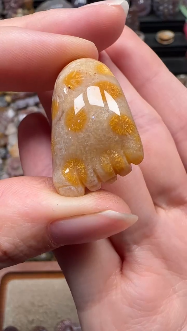 颈饰未镶嵌硅化珊瑚（珊瑚玉）580