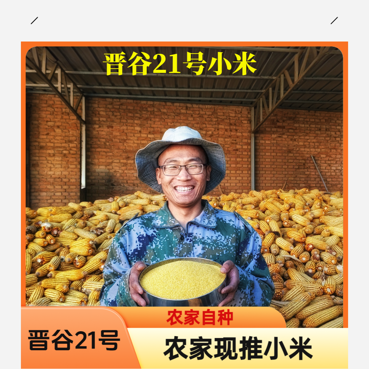 【晋谷21号小米】农家新鲜现推  忻州特产